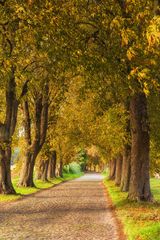 Herbst auf Rügen