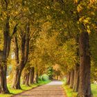 Herbst auf Rügen