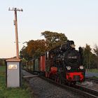 Herbst auf Rügen 15