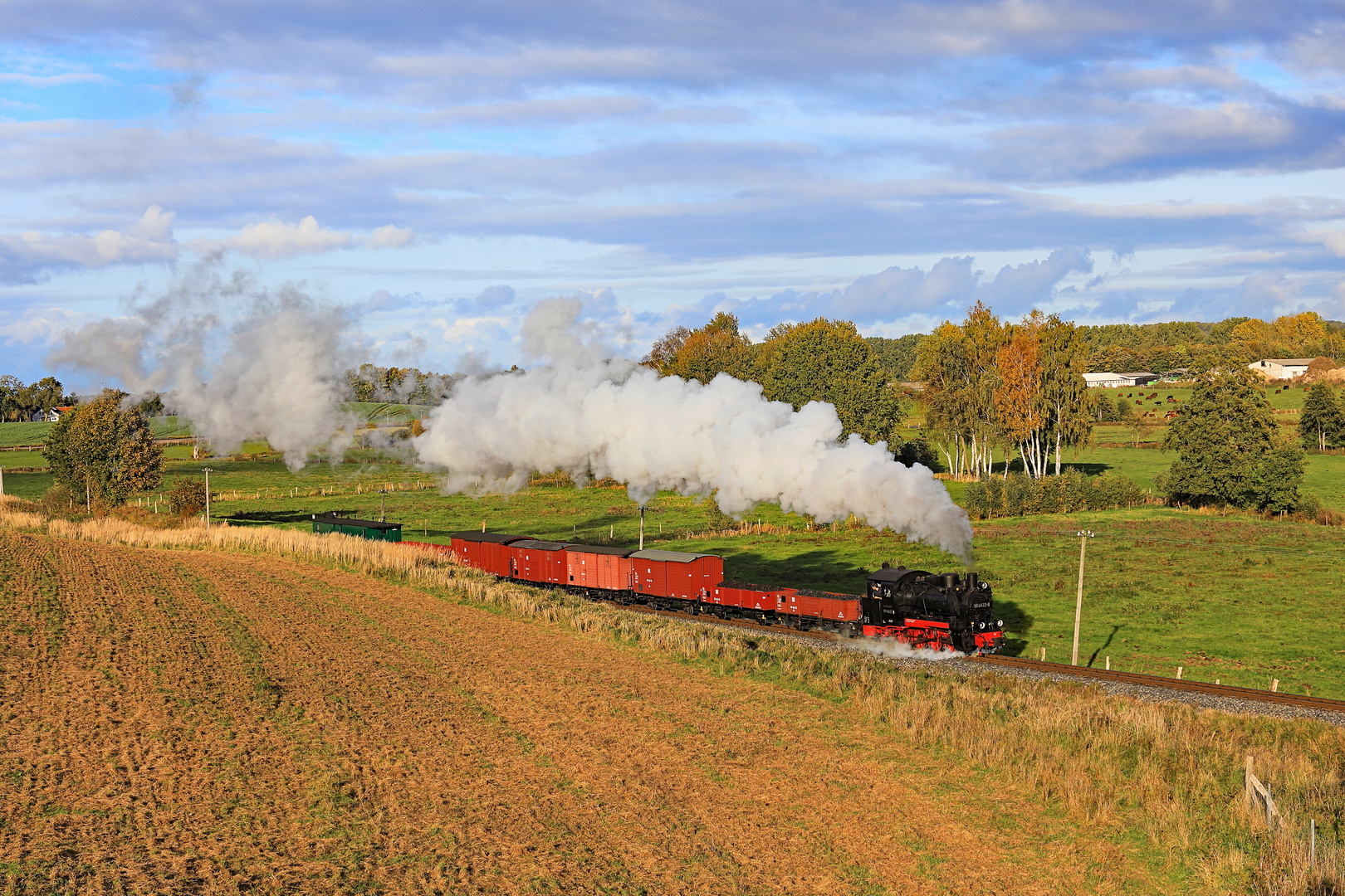 Herbst auf Rügen 17