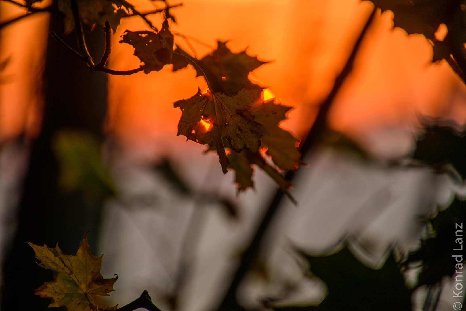 Herbst auf Rügen 2