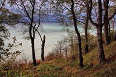 Herbst auf Ruegen