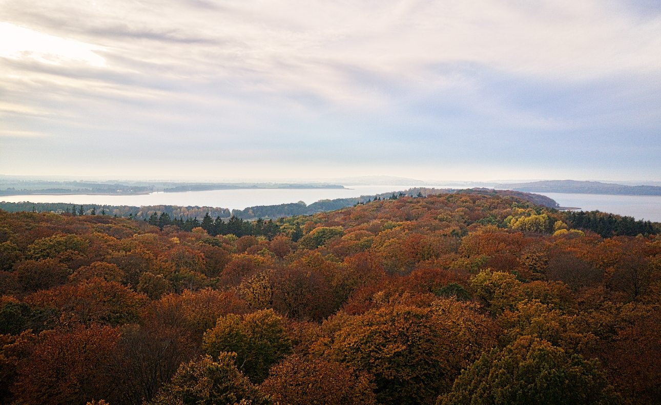 Herbst auf Rügen