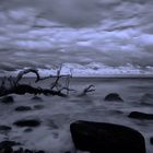 Herbst auf Rügen