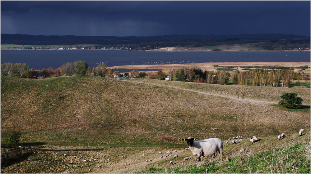 Herbst auf Rügen