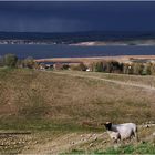 Herbst auf Rügen