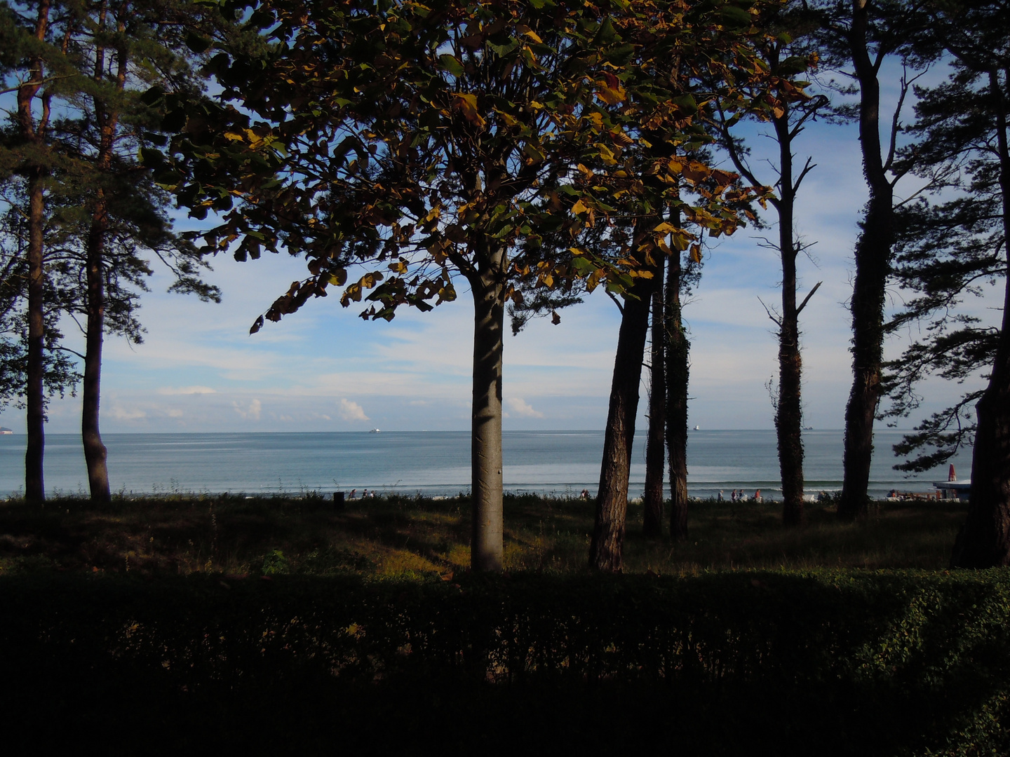 Herbst auf Rügen