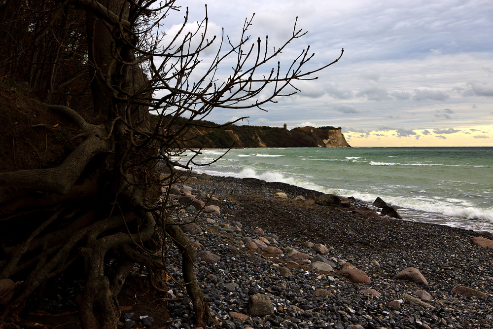 Herbst auf Rügen