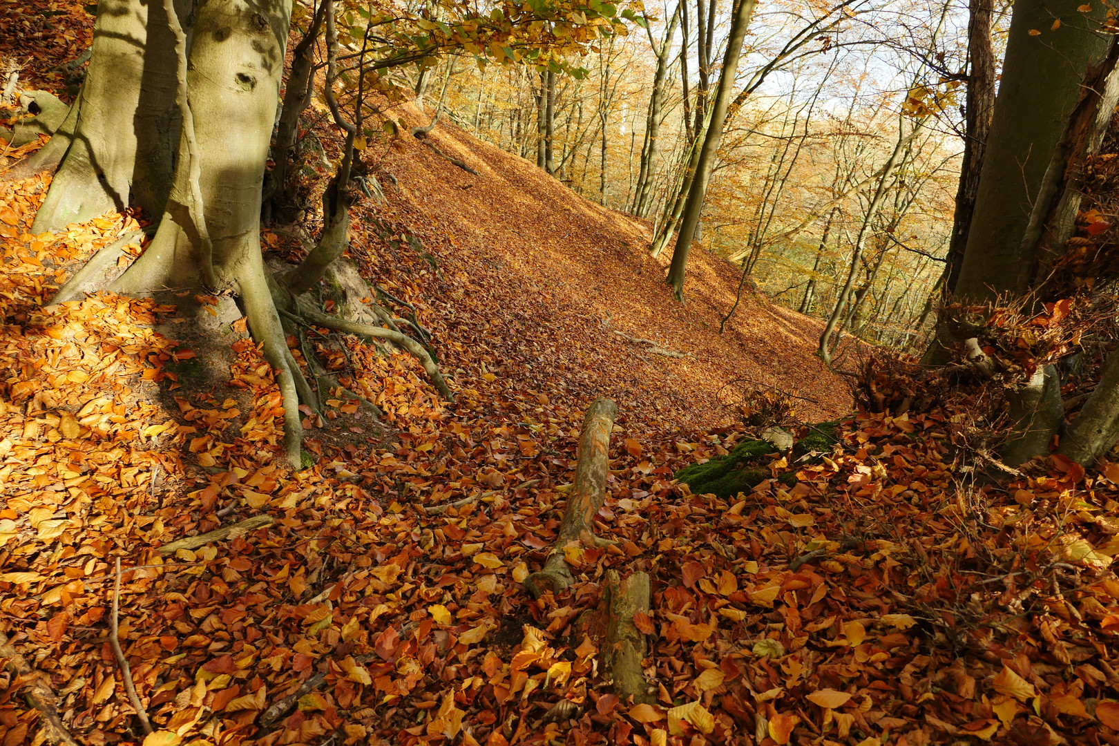 Herbst auf Rügen