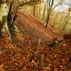 Herbst auf Rügen