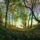 Herbst auf Rügen