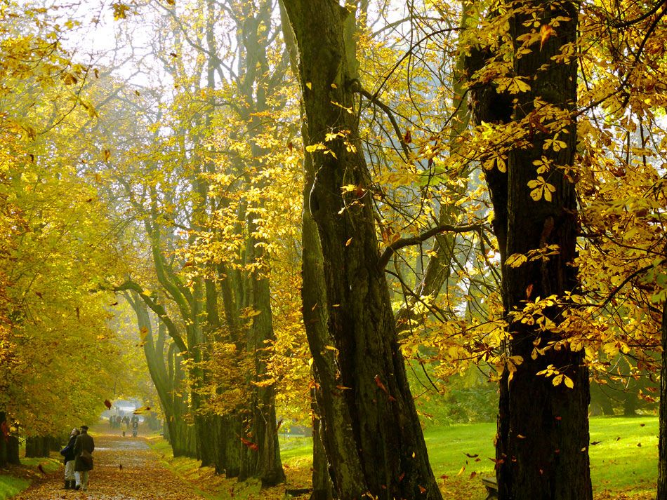 Herbst auf Rügen