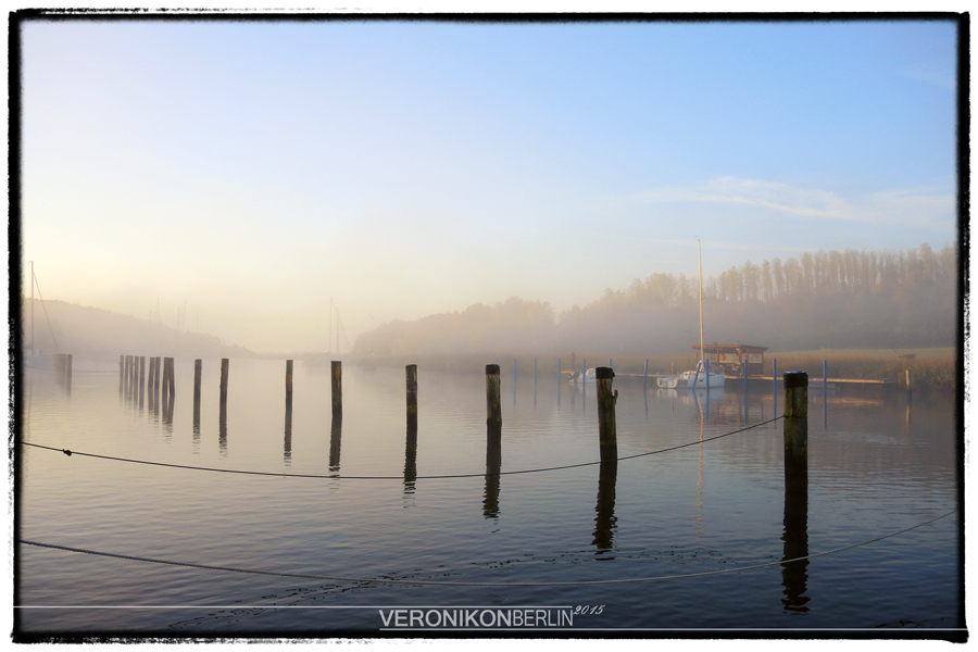 Herbst auf Rügen, pt. VIII