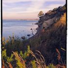 Herbst auf Rügen, pt. X