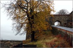... Herbst auf Schloss Akershus ...