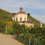 Herbst auf Schloss Wackerbarth