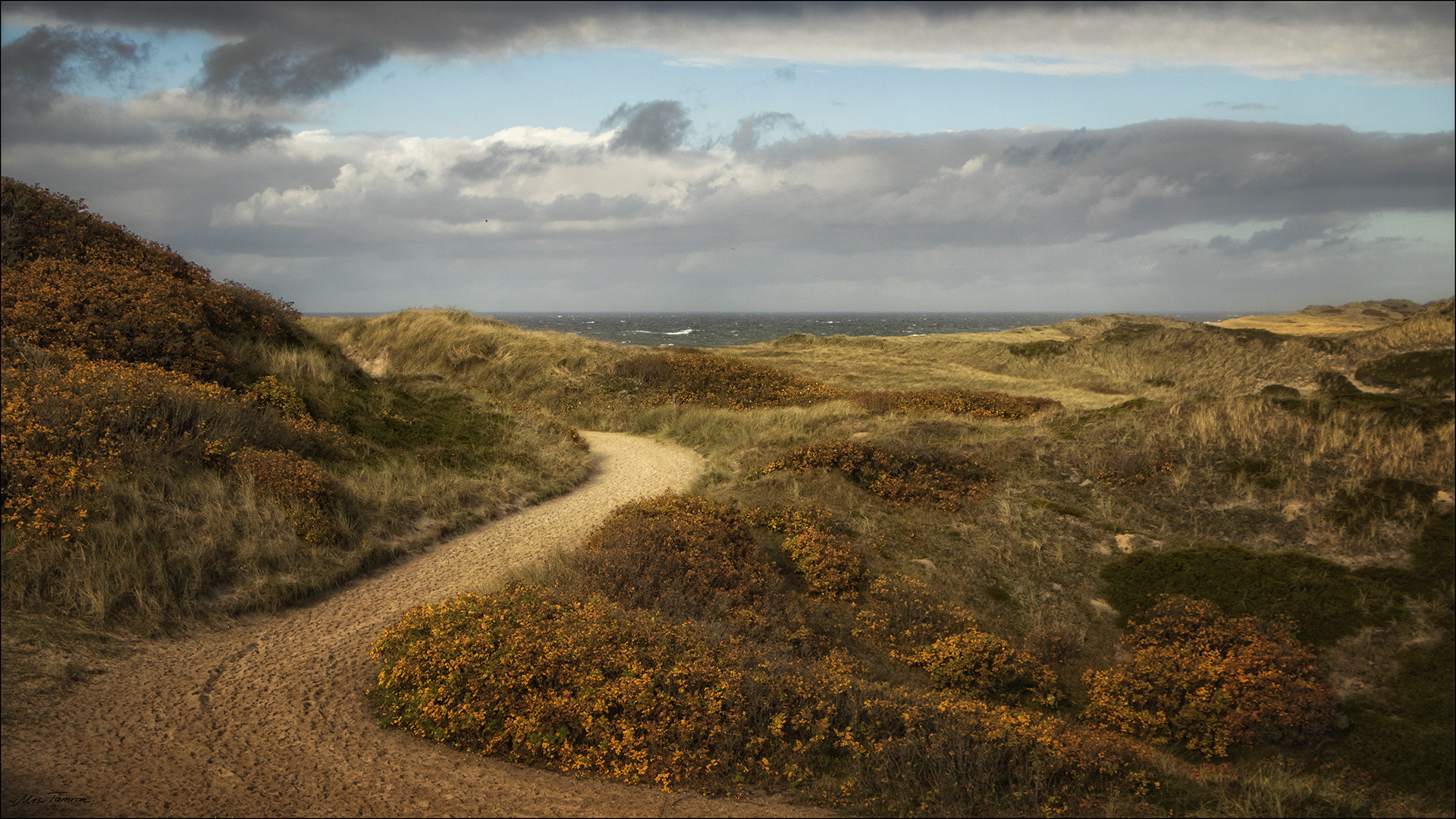 Herbst auf Sylt