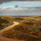 Herbst auf Sylt