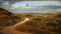 Herbst auf Sylt