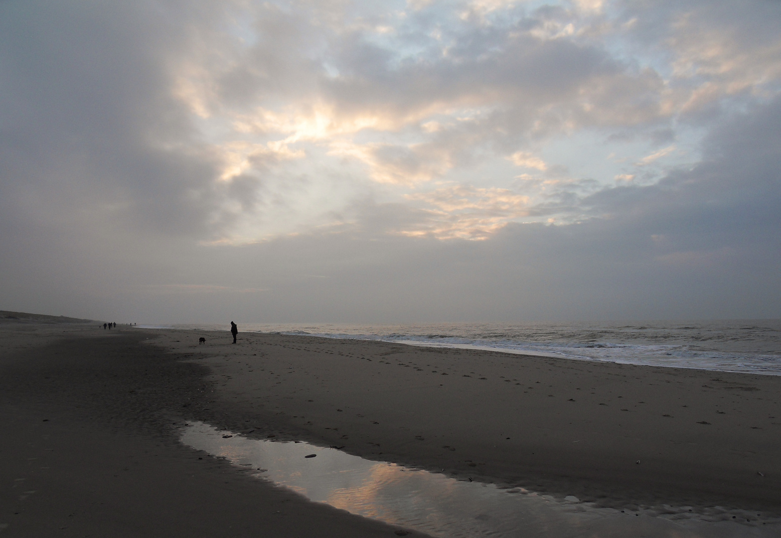 Herbst auf Texel