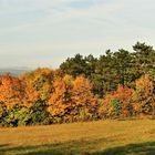 Herbst auf unserer "Hundewiese"