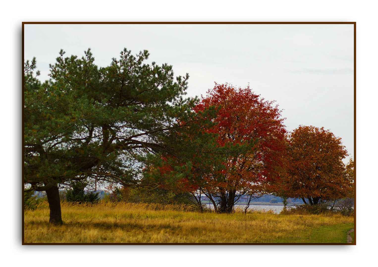 Herbst auf Usedom