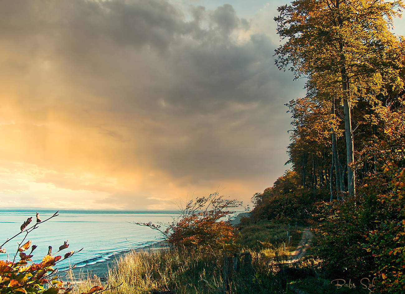 Herbst auf Usedom