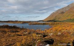 Herbst auf Vågan - Lofoten