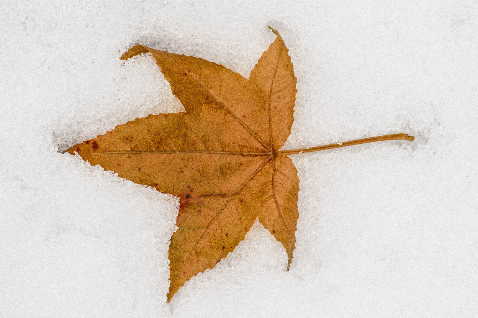 Herbst auf Winter