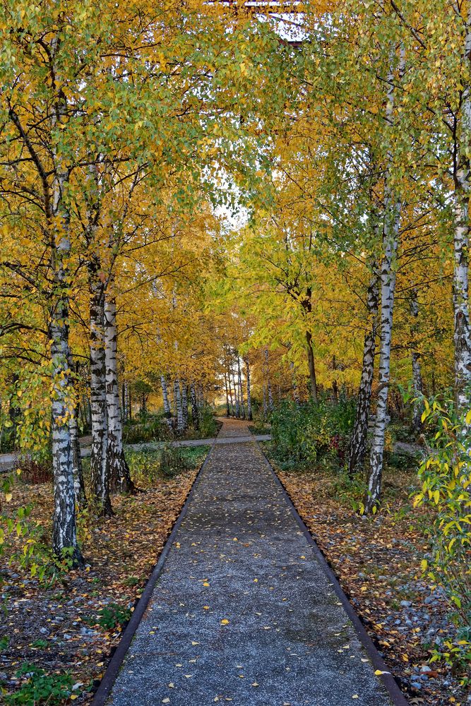 Herbst auf Zollverein