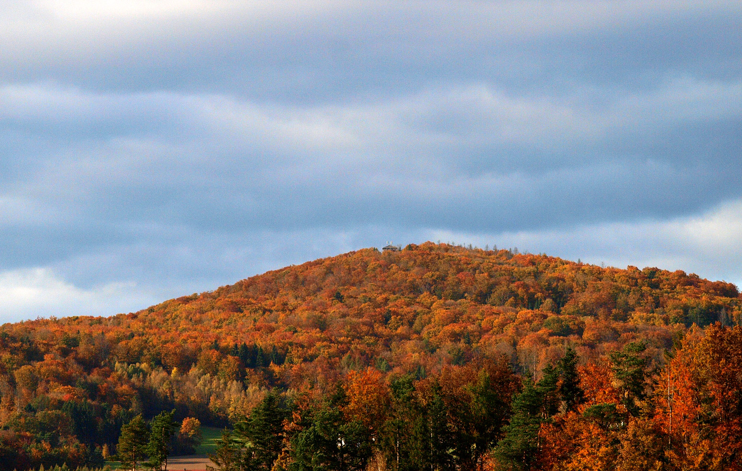 Herbst auf'm Hügel