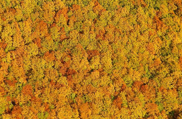 Herbst aus meinem Trike