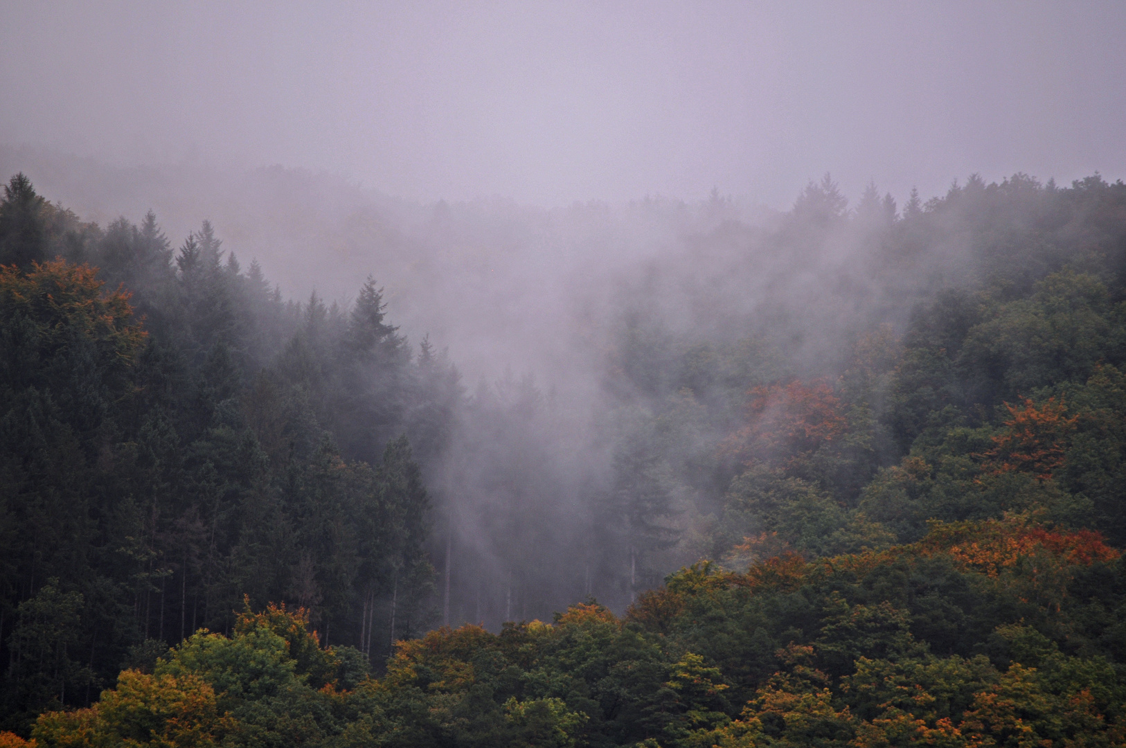 Herbst ausblick