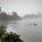 Herbst-Ausflug mit der ganzen Familie