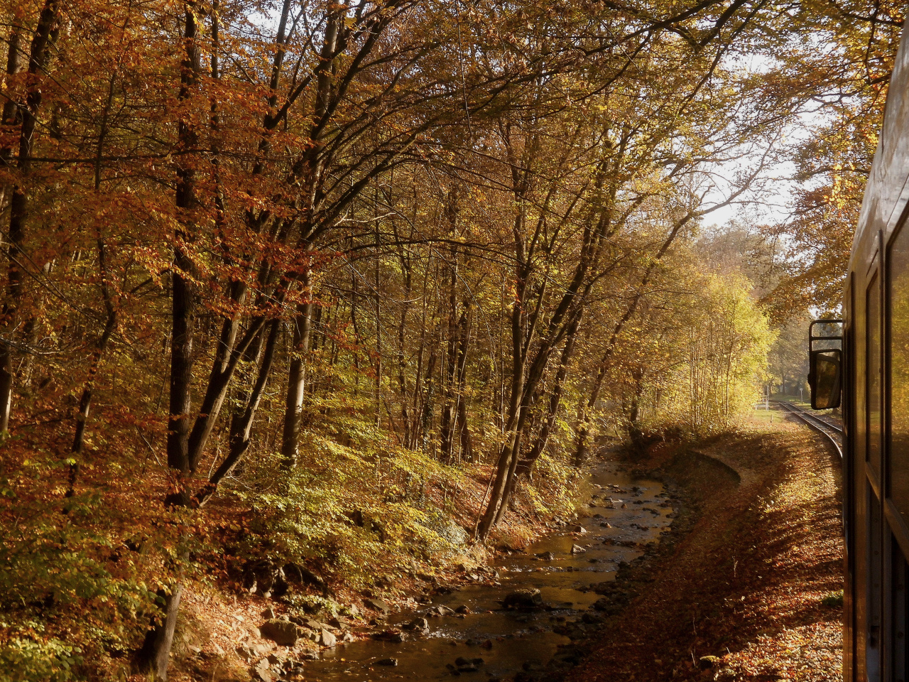 Herbst Ausflug nach Eisfelder Talmühle 7.