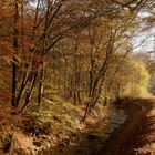 Herbst Ausflug nach Eisfelder Talmühle 7.