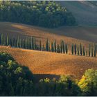 herbst (ausschnitt)