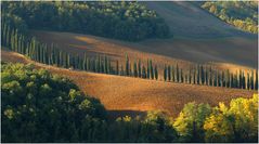 herbst (ausschnitt)