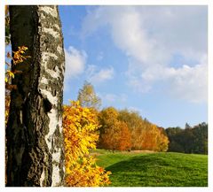 Herbst, ausschnittweise.