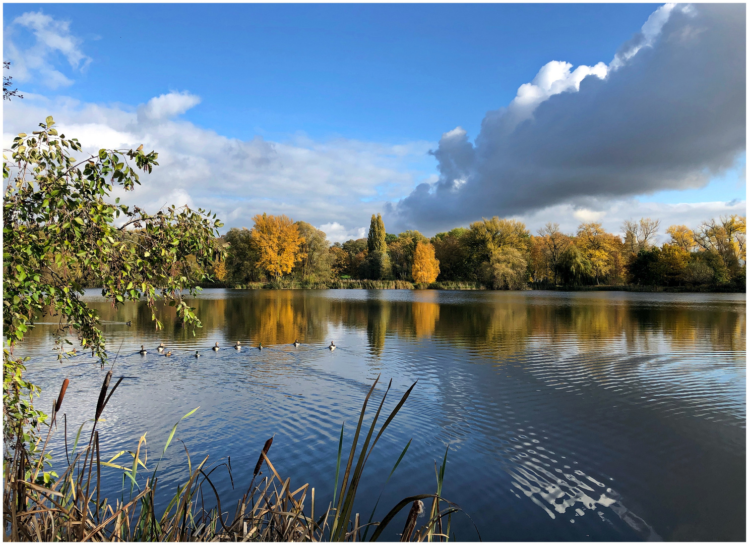 Herbst-Aussichten