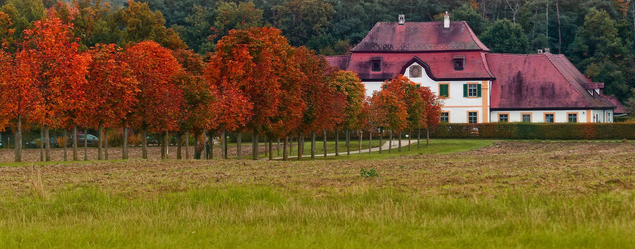 Herbst (autumn)