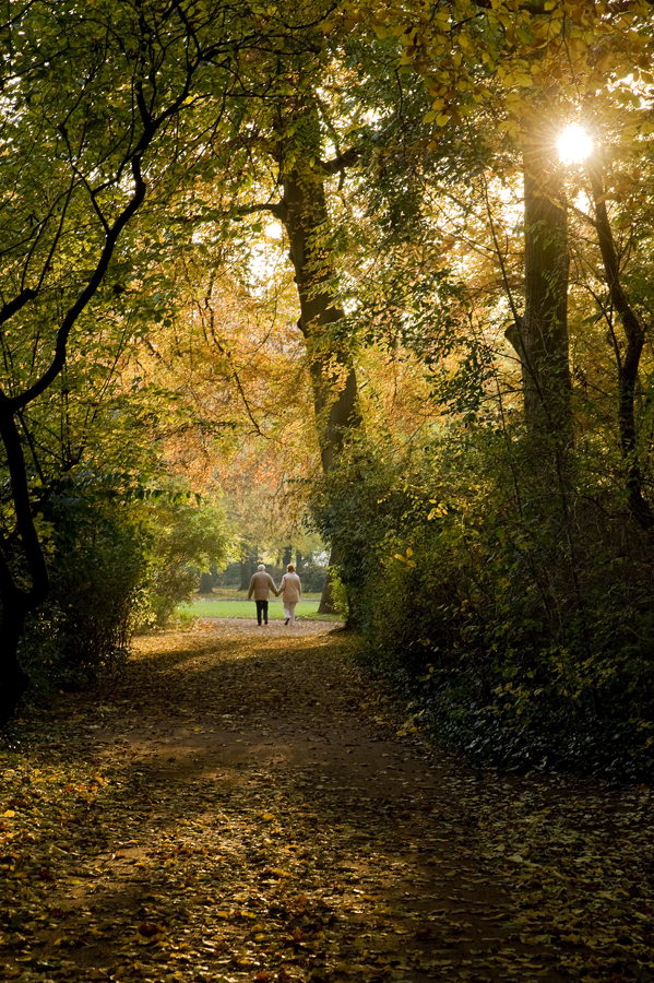 Herbst - Autunno in Pankow