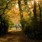 Herbst - Autunno in Pankow