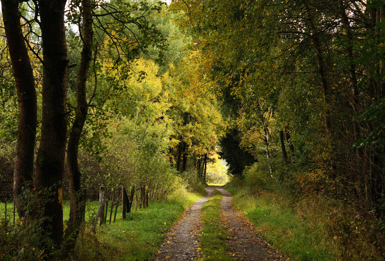 Herbst...