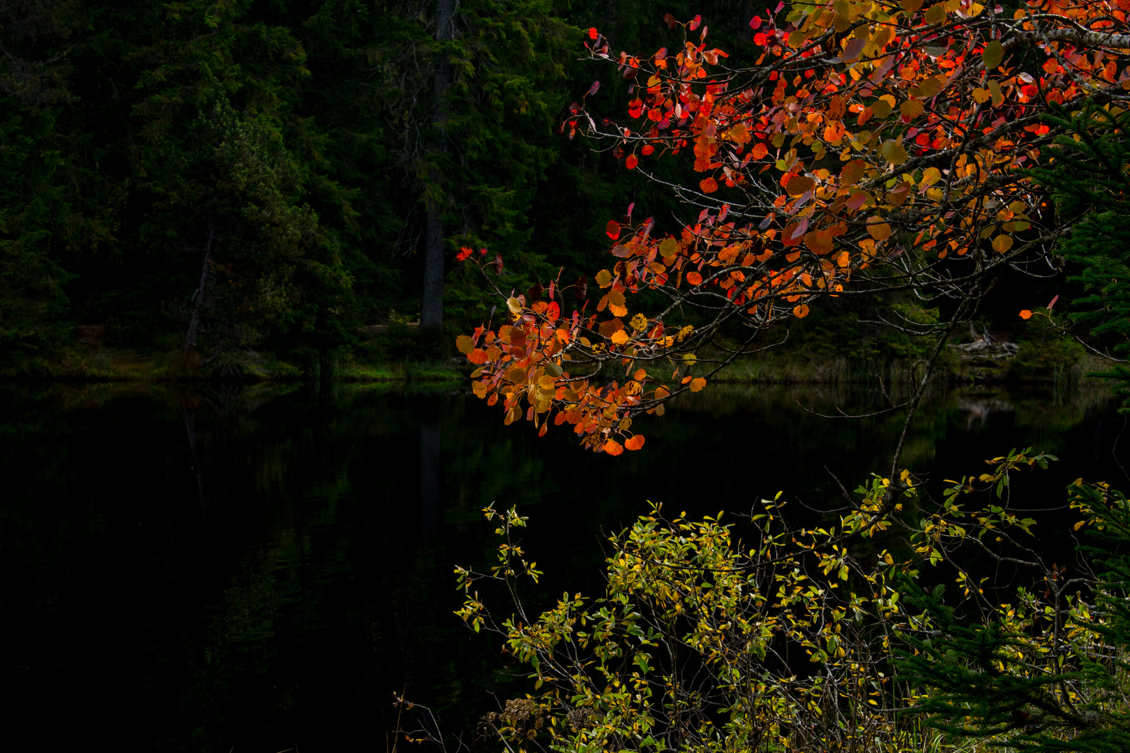 Herbst