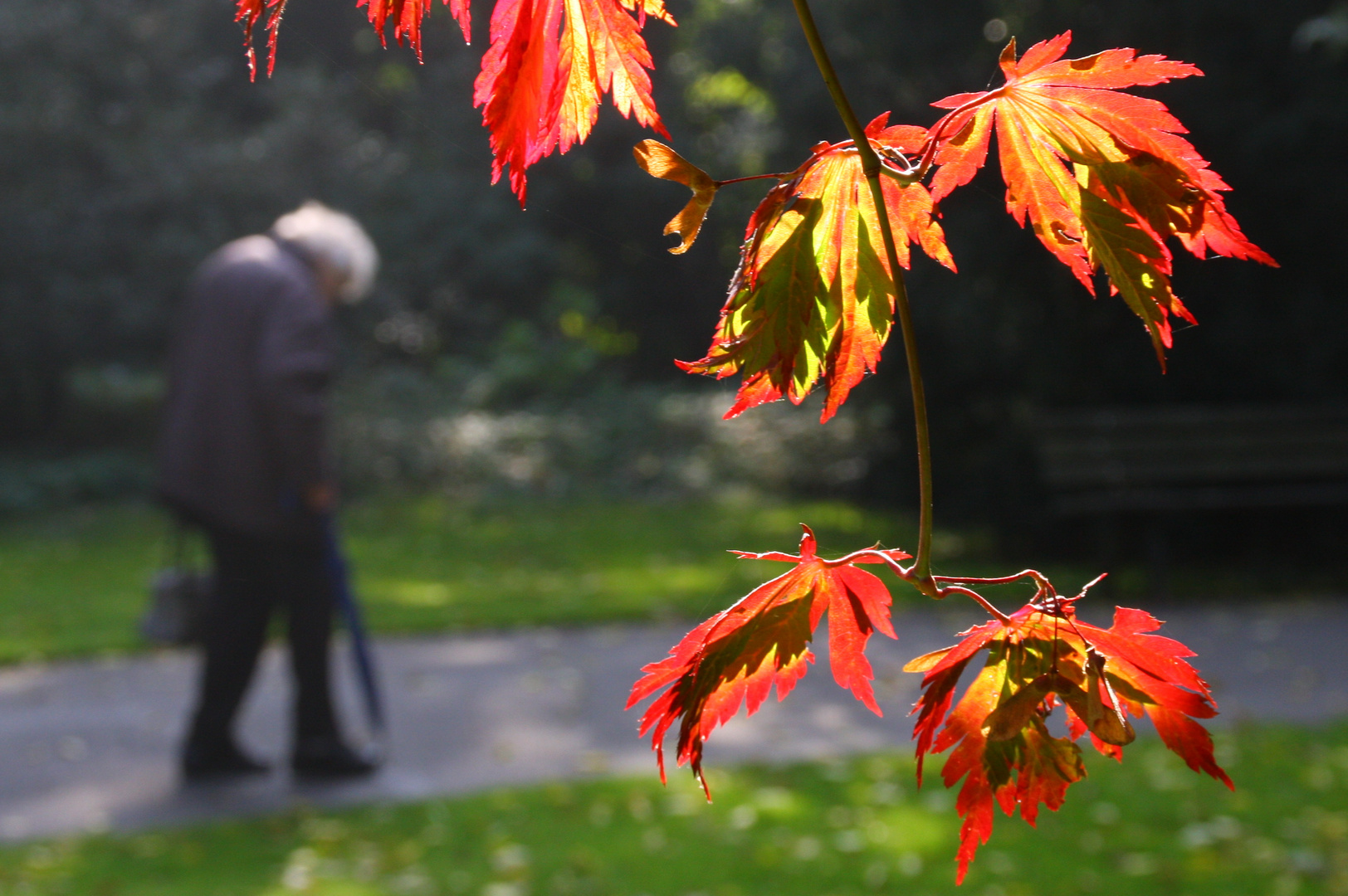 Herbst