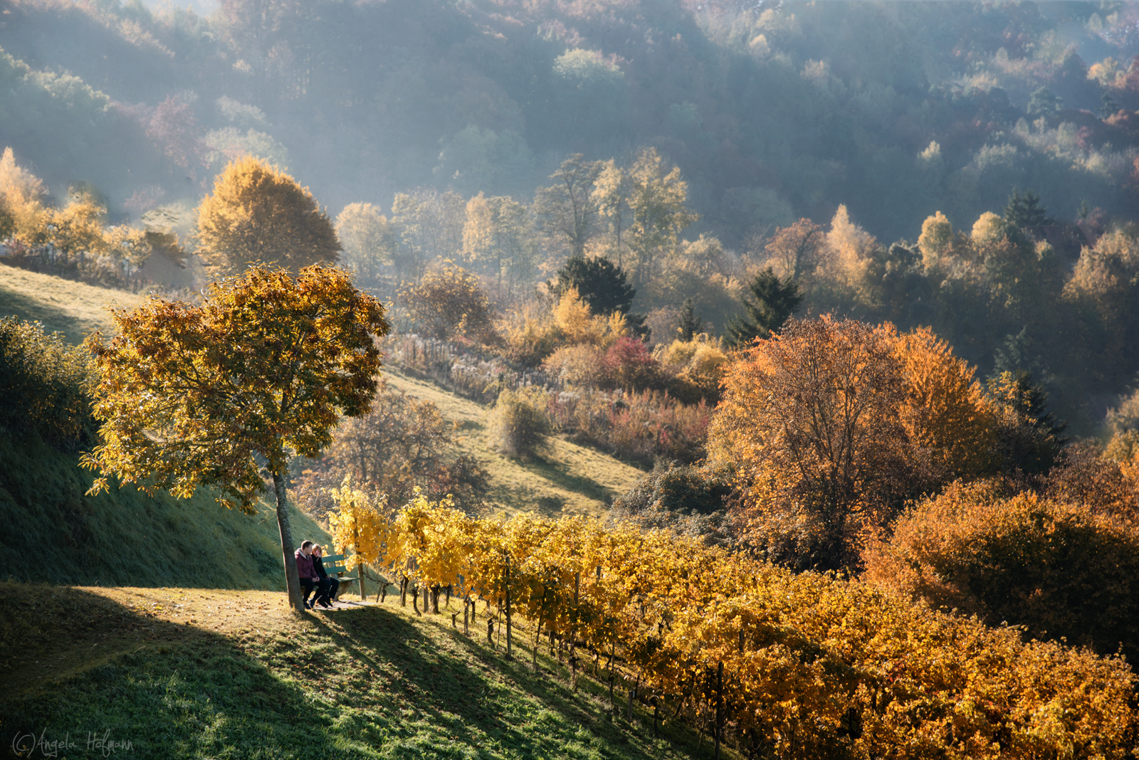 Herbst