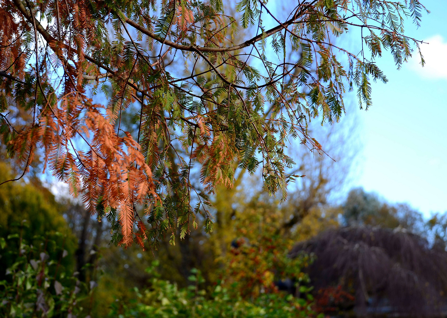 Herbst