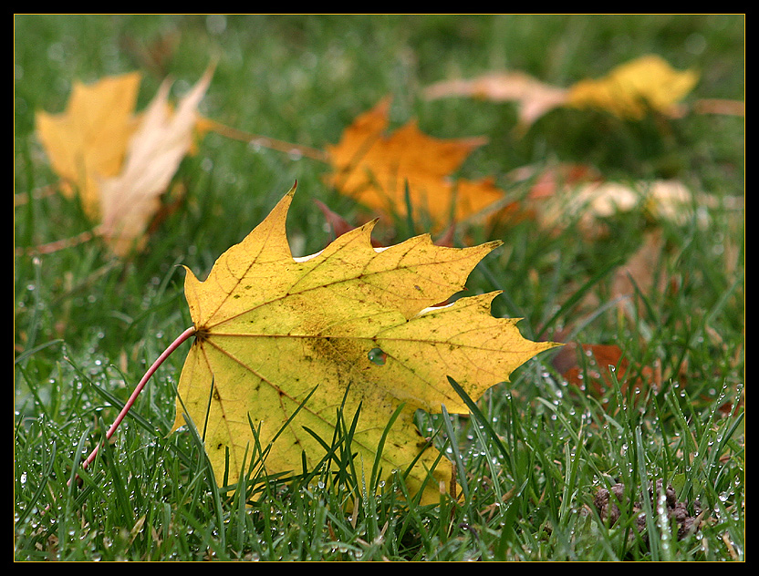 Herbst...