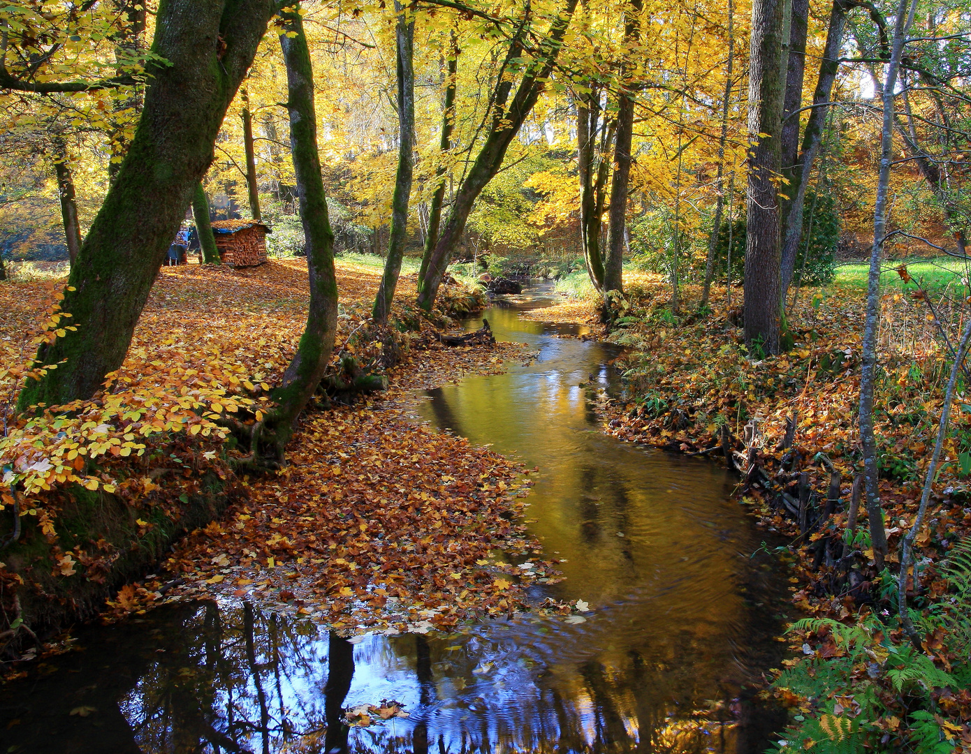 Herbst